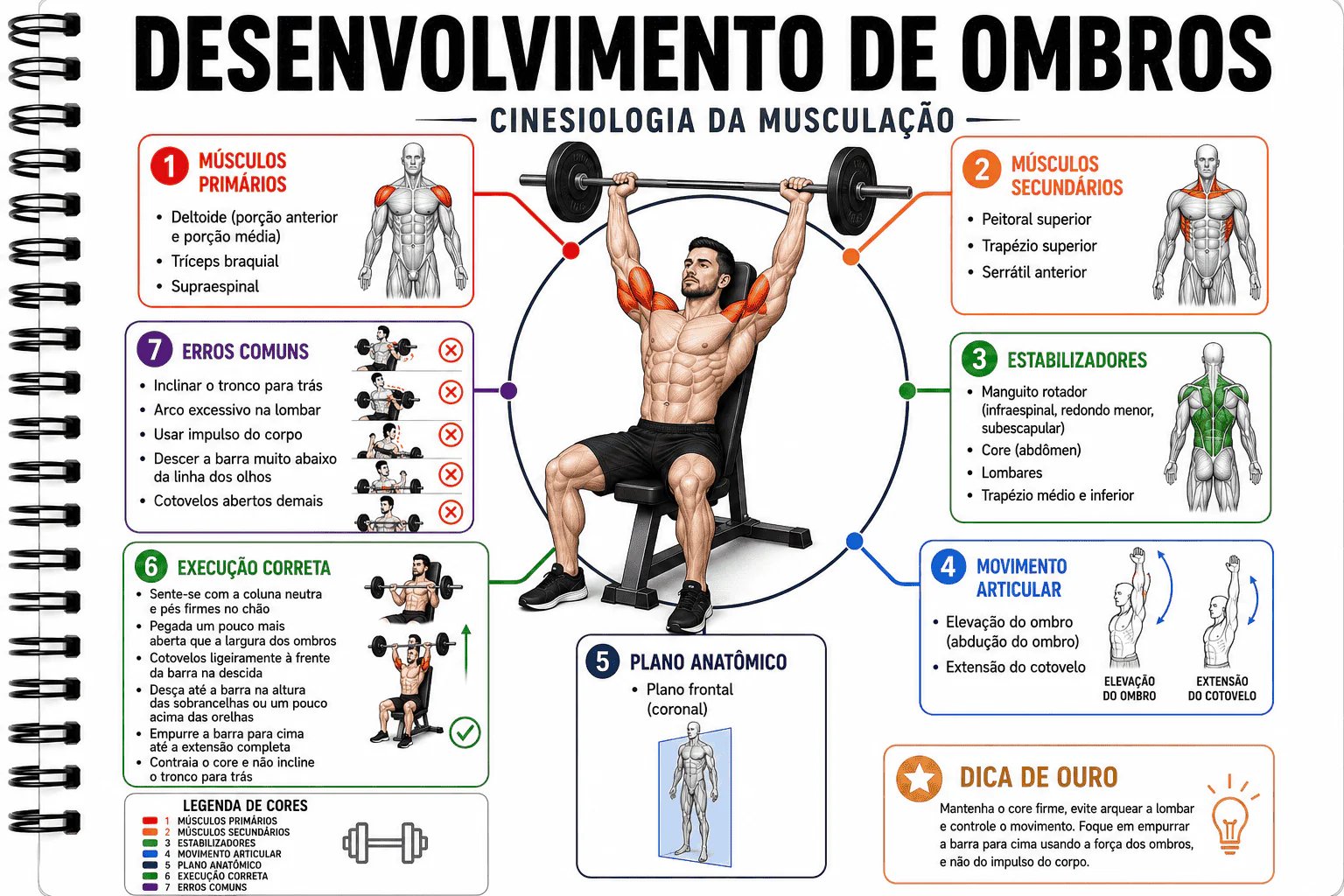 Kinesiology visual study card 6