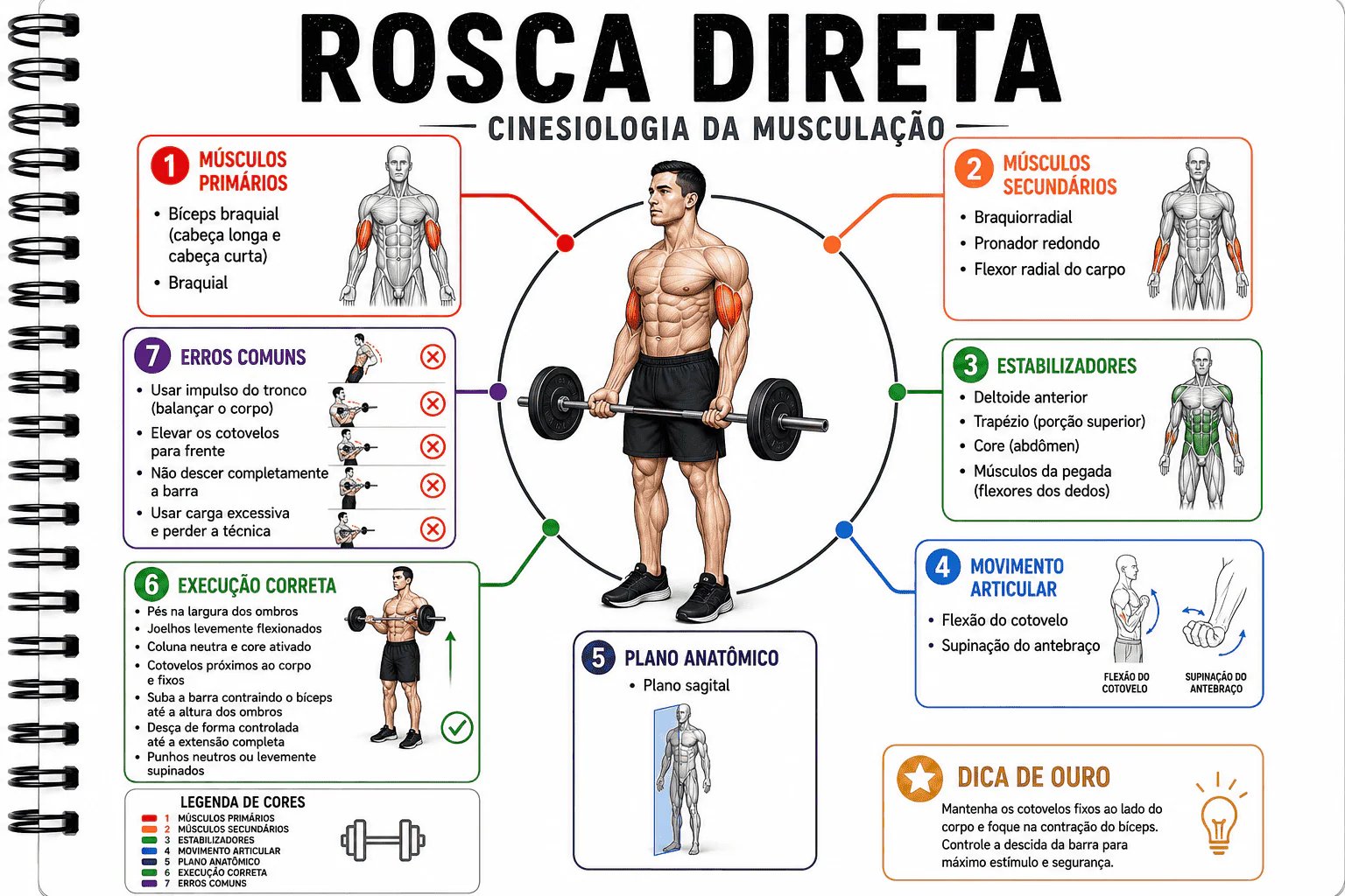 Kinesiology visual study card 3
